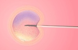 试管婴儿选择双胎男孩大约是多少钱(试管双胎男孩几率有多大)