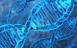 江门生子试管婴儿的医院排名附(江门黎平做试管怎么样)