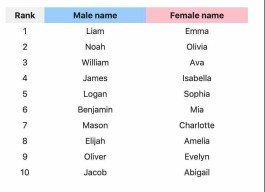 英文名词典（免费输中文名取英文名）