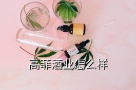 高菲酒业(高菲酒业怎么样)