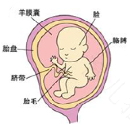 怀孕14大信号详解 女人怀孕的14个信号