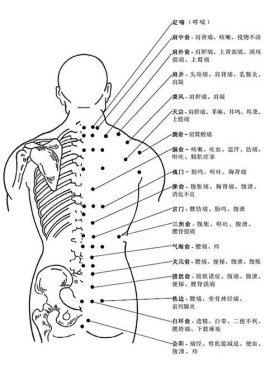 右后背疼痛部位对照表 右侧背部疼痛