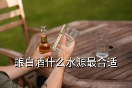 水源地酒，酿白酒什么水源最合适