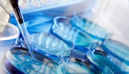 南宁三代试管婴儿成功率多少(南宁试管婴儿医院排名)